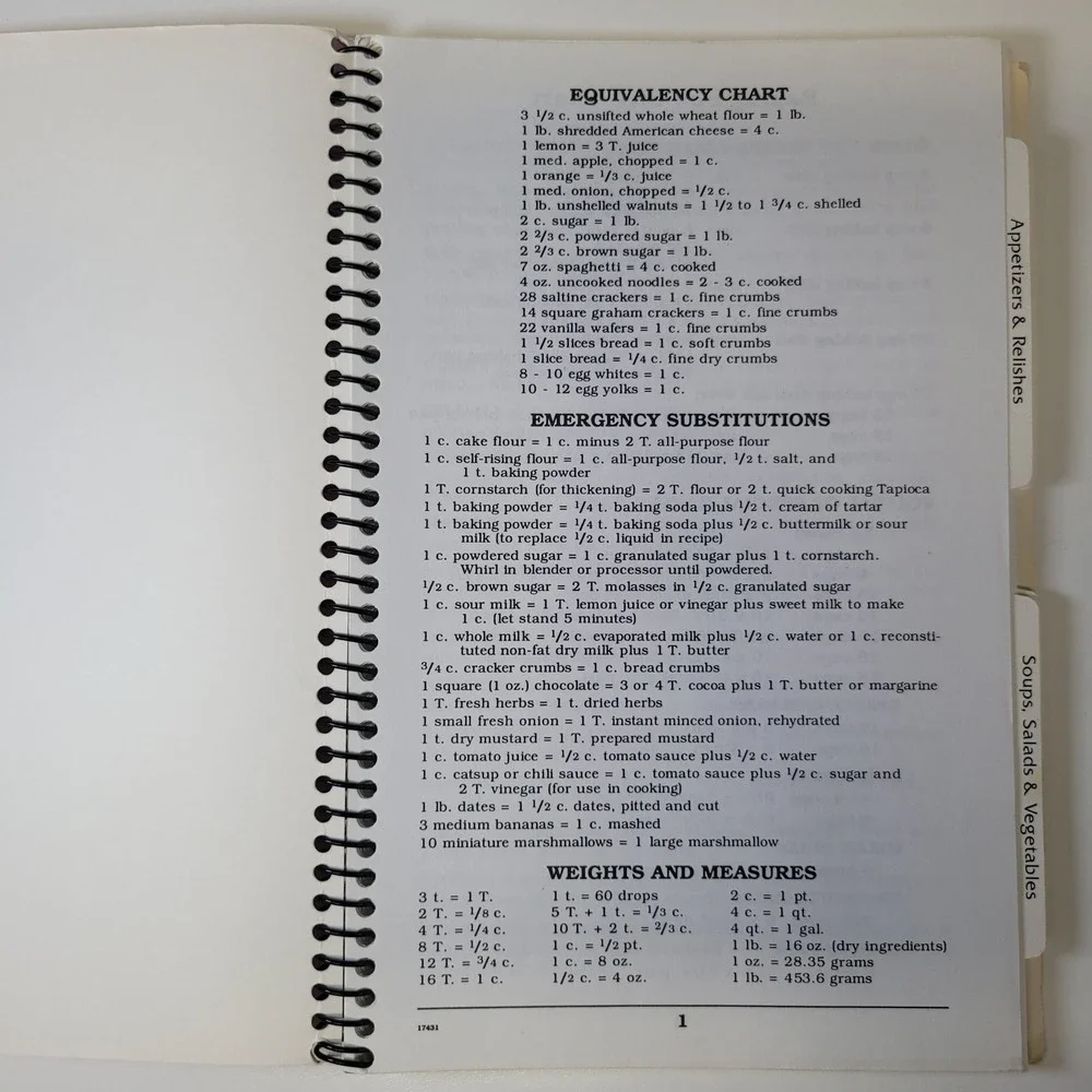 Dinner Saurus Recipe Book Mt‎ Clemens Montessori Parent Guild 1995-1996 Vintage